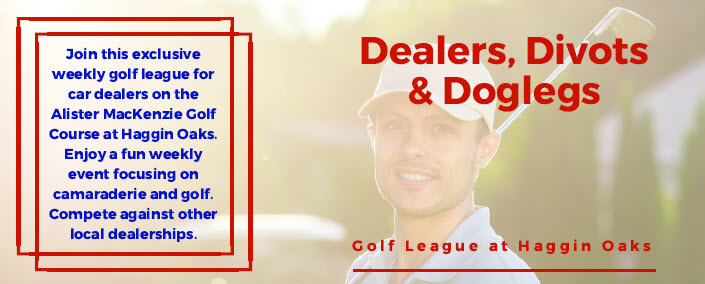 Dealers Divots and Doglegs