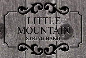 LittleMountainStringBand