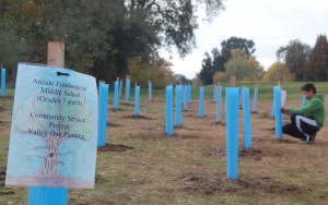 Arcade Acorn Planting 5