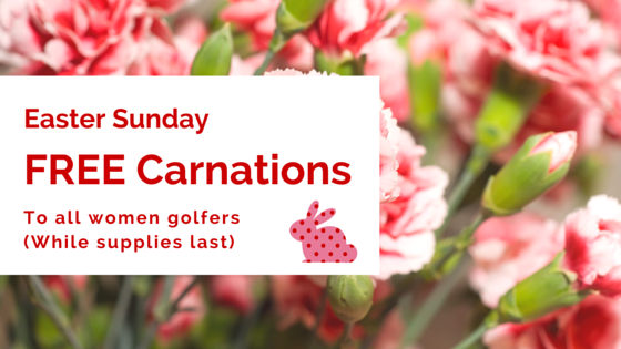 FREE Carnations