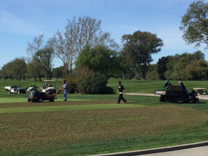 aerification_HO