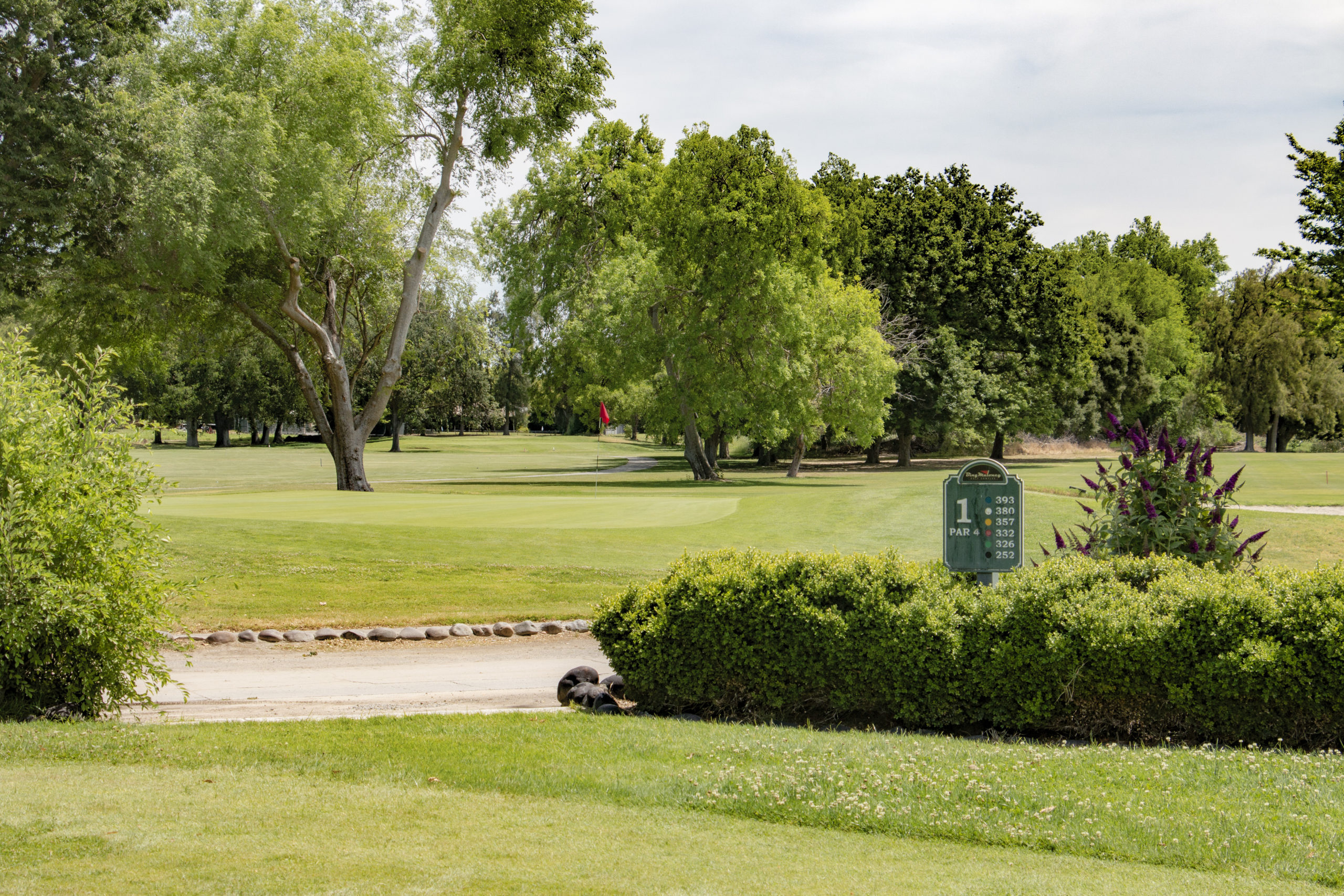 IMG_2278 Haggin Oaks