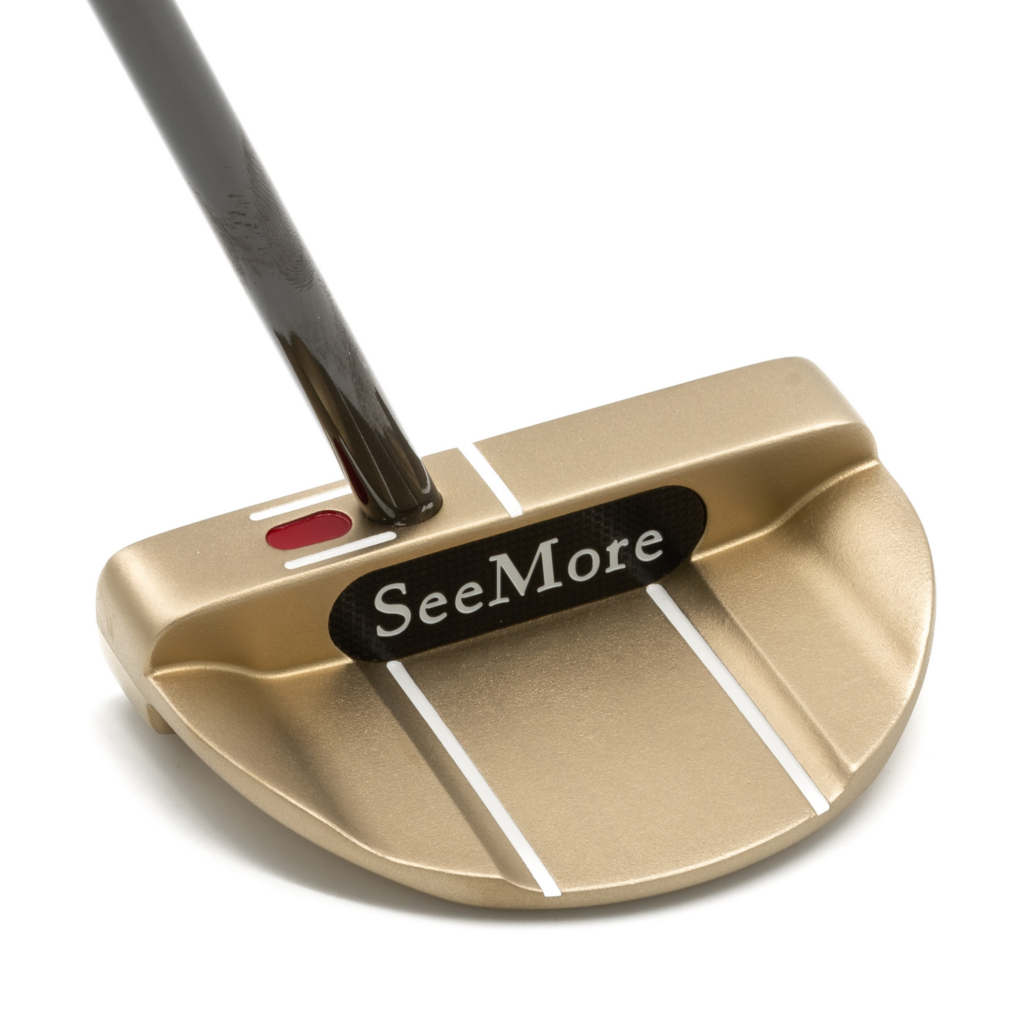 Back View of Bronze Putter