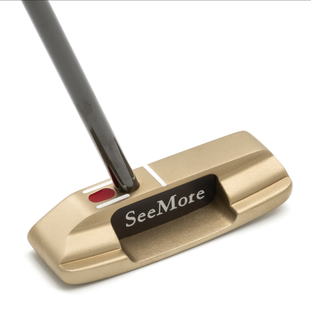 Back View of Bronze Putter