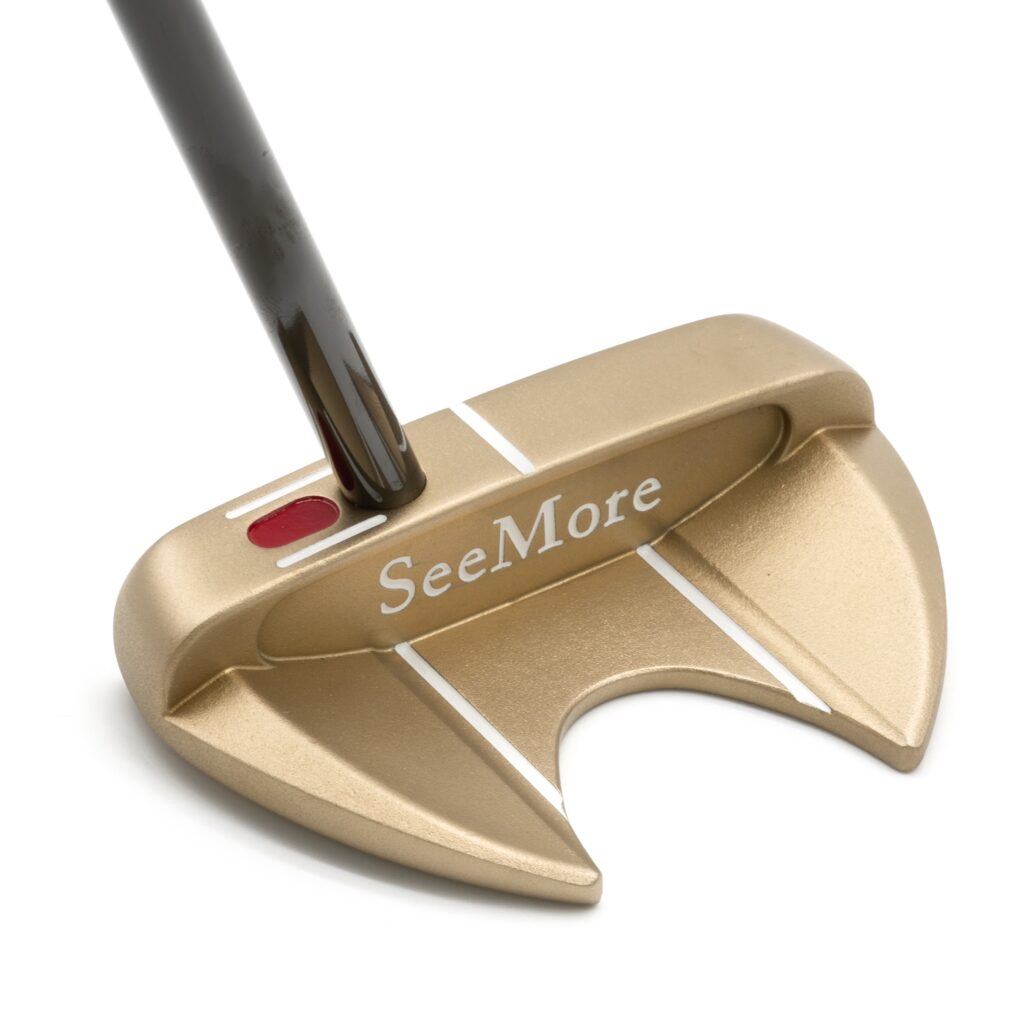 Back View of Bronze Putter