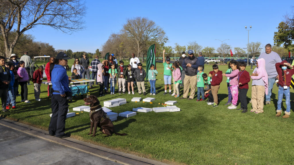 A group of elementary students on a putting green are being given a demonstration by the Sacramento Agricultural Commisioner Office's K9 unit. The K9 is sitting attentively, looking at its handler. One student is raising their hand to ask a question.