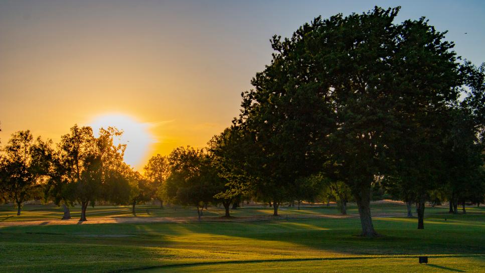 A sunset photo of Haggin Oaks