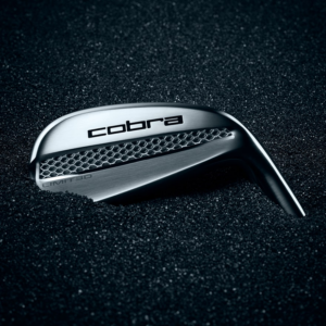 Cobra 3D Printed Iron Face on buried in black sand