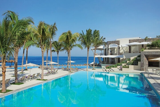 Pool with Palm Trees