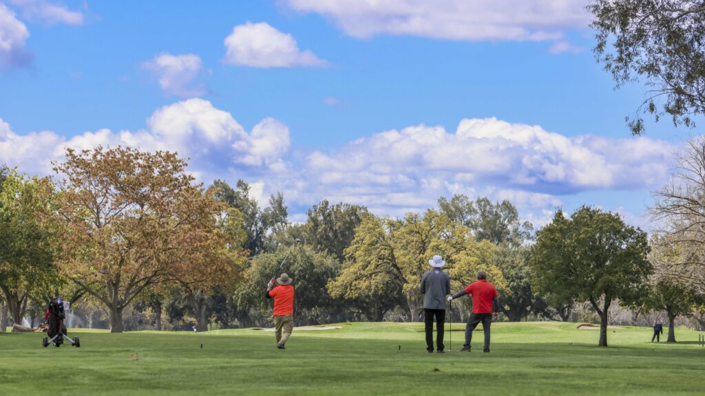 a group of golfers golfing