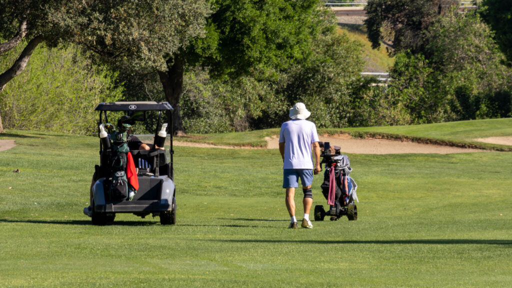 a group of golfers golfing, 1 in a golf cart, 1 walking.