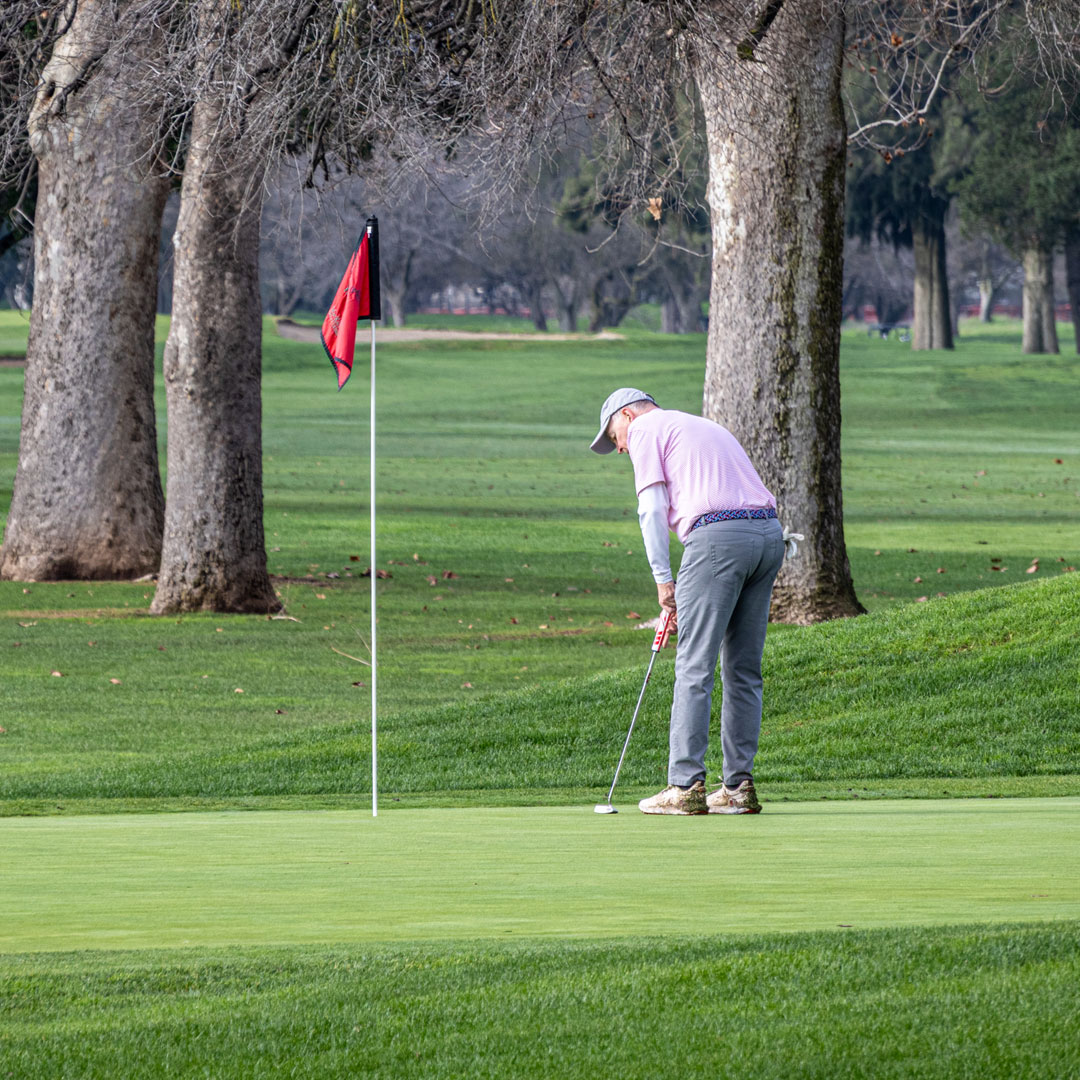 MacKenzie practice putting green at Haggin Oaks Golf Complex Sacramento California