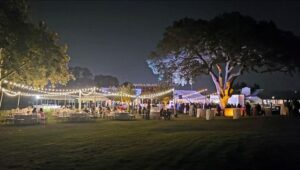 Outdoor evening event at Pavilion at Haggin Oaks with string lights over lawn seating, decorated tables, a large illuminated tree, and guests gathered near a pavilion and event tent.