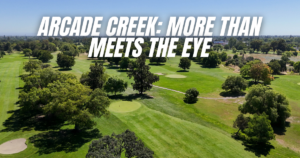 an aerial photo fo Arcade Creek Golf course that says Arcade Creek: More Than Meets the Eye